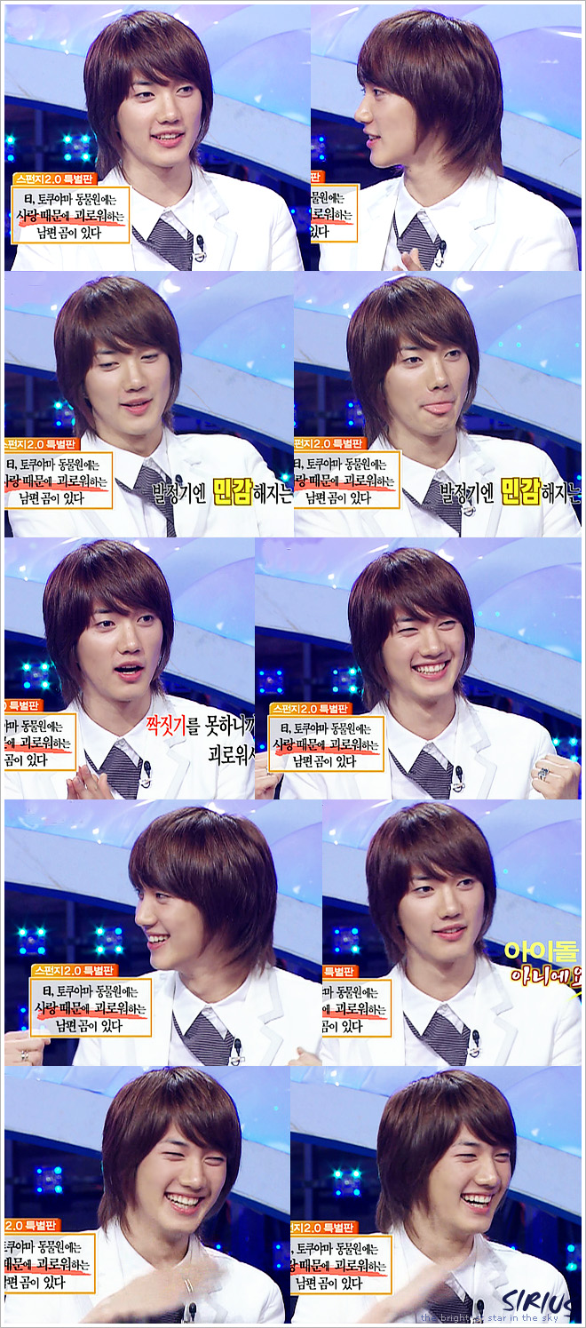 20080607_sponge_gi.jpg